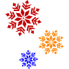Snowflake Winter