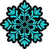 Snowflake Snow Icon