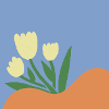 Yellow Flowers