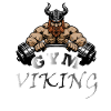 GYM Viking