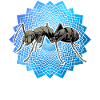 ant