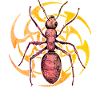 Ant