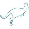 Kangaroo 02