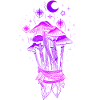 Mushrooms Magic Magic Mushrooms