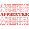 Apprentice Trainee Apprentice Novice Learner