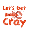 Allons chercher Cray 3