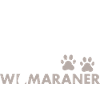 Loved By A Weimaraner