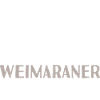 Property Of A Weimaraner