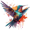 Rainbow Humming-Bird
