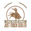 Bulls Riding Rodeo Gift