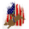 Bulls Riding Rodeo Gift