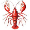 Red Lobster
