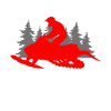 Snowmobile Funny Snowmobiling Snow Winter