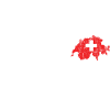 Suisse T-shirt Idée Cadeau