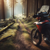 Forest freedom