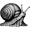 Snail / Animal / Crawling / Slimy / Slow