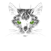 Black Cat with Green Eyes