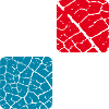 Minimal square design