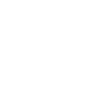 Auditor
