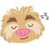 Super cute sleepy sloth face