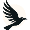 Raven Moon Flight