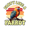 Perruche Perruche Oiseau Perruche Propriétaire