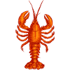Homard