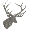 Cerf avec motif