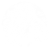 Karate Crocodile
