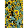 SUNFLOWER MOOD