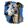 Dog Greyhound
