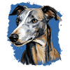 Dog Greyhound