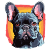 Dog French Bulldog