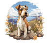 Hund Foxterrier