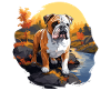 Chien Bouledogue anglais