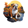 Chien Bouledogue anglais