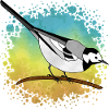 Oiseau