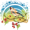 Bunter Vogel