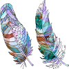 Pen