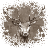 Hirsch