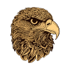 Eagle Head Animal