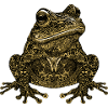 Frosch Tier