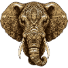 Elephant Head Animal