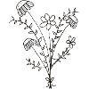Minimal bouquet