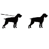 Online Offline Deutsch Drahthaar Jagdhund