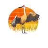 Sandhill Crane Lovers Bird Watching