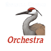 Sandhill Crane Lovers Bird Watching