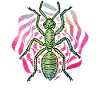 ant