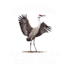 Sandhill Crane Lovers Bird Watching