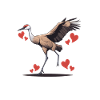 Sandhill Crane Lovers Bird Watching